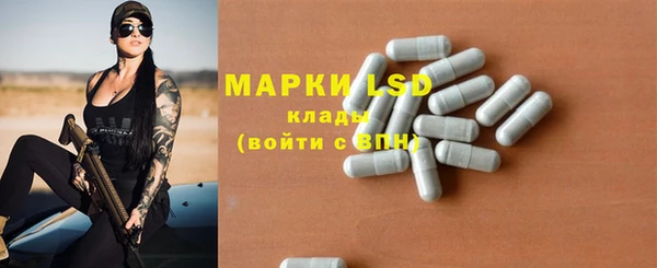 ГАЛЛЮЦИНОГЕННЫЕ ГРИБЫ Балахна