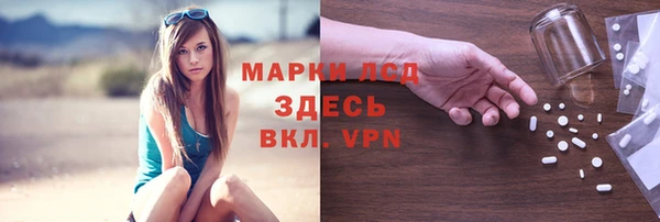 ГАЛЛЮЦИНОГЕННЫЕ ГРИБЫ Балахна