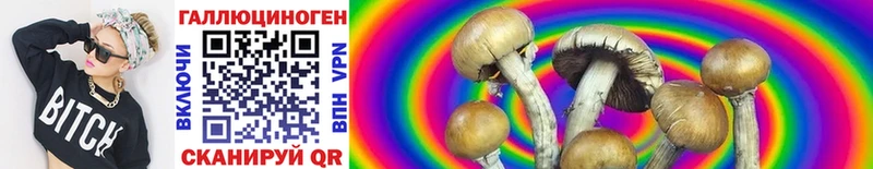 Галлюциногенные грибы Magic Shrooms  Нерчинск 